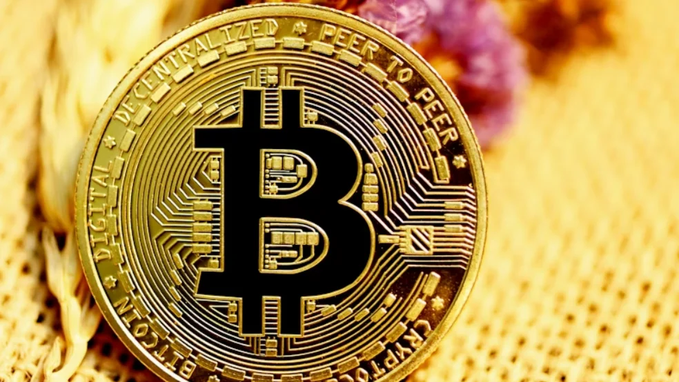 Top 5 Crypto Wallets for Beginners in 2026: The Ultimate Security Guide
